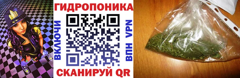 A PVP Великий Устюг