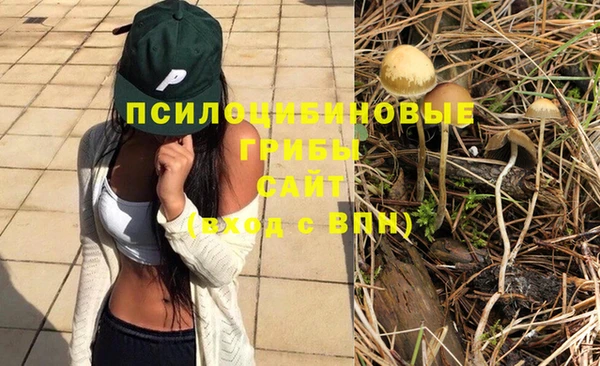 кристаллы Краснослободск