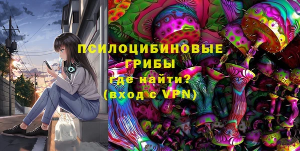 мдпв Краснотурьинск