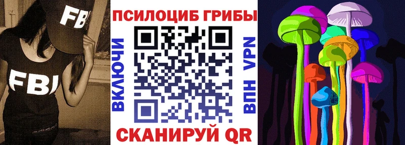 Купить закладки  Великий Устюг  Псилоцибиновые грибы GOLDEN TEACHER 